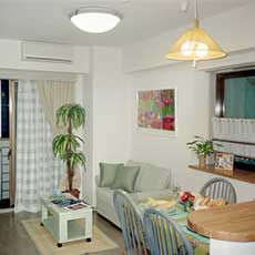 Image is not available